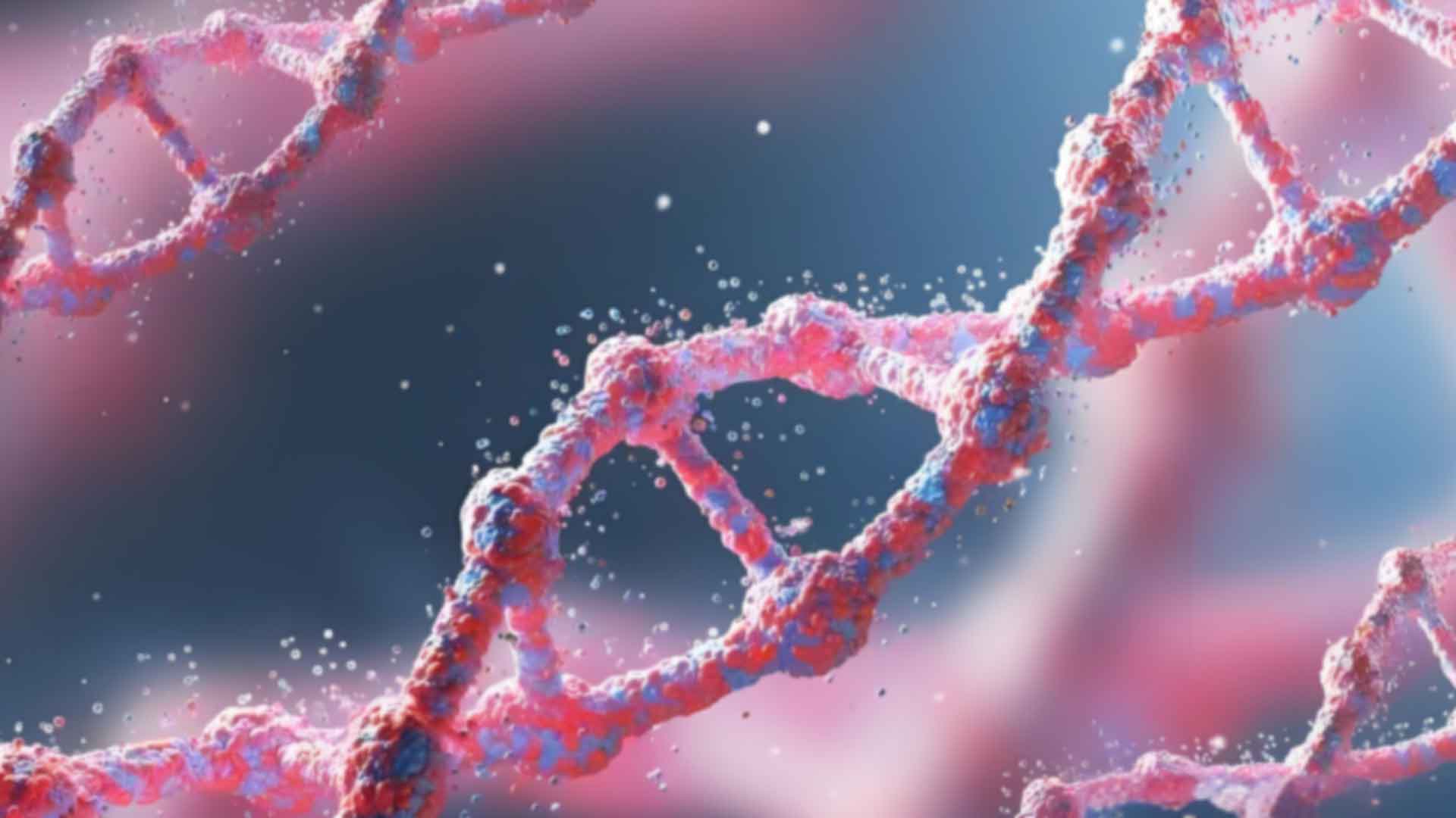 兰州无创DNA亲子鉴定能知道血型吗