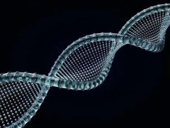 亲子鉴定！金昌正规落户亲子鉴定机构一览（附2025年汇总鉴定地址）