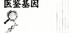 <b>揭秘！兰州市本地亲子鉴定报价一览（附</b>