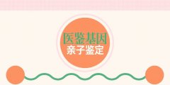 <b>2026临夏怀孕亲子鉴定多少钱？附鉴定费用</b>
